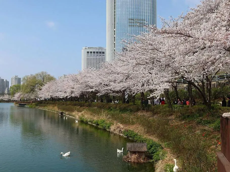 Station Area Accommodation, Jamsil, Gangnam, Room 1, Bed 3, Lotte World, Kspodome Seoul South Korea